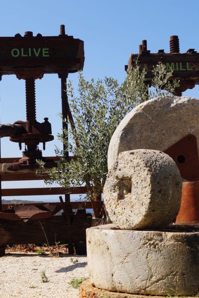 Lyrakis Family Olive oil Festival